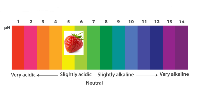 ideal pH range for growing strawberries