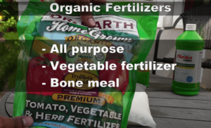 tomato fertilizer with calcium